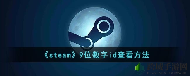 轻松解锁Steam ID，掌握9位数字ID查询技巧
