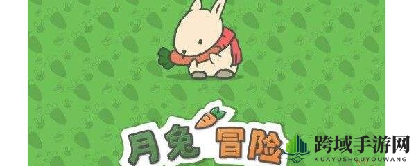月兔冒险金票有何妙用