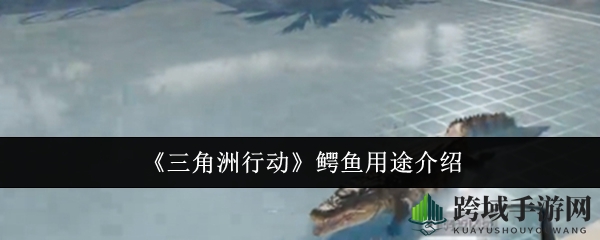 《探索三角洲行动》鳄鱼用途介绍