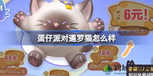 皮蛋节狂欢，暹罗猫盲盒限时抢购，萌宠价由你定！