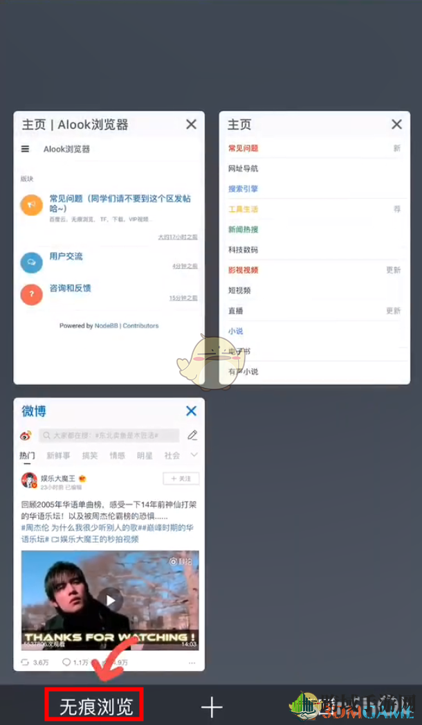 《Alook浏览器》无痕浏览开启方法